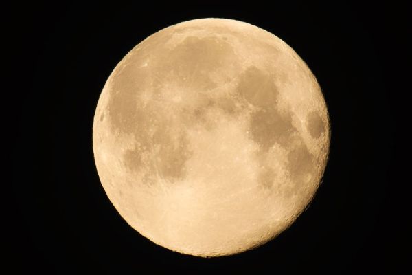 Canada-Manitoba-Winnipeg Close-up of full moon